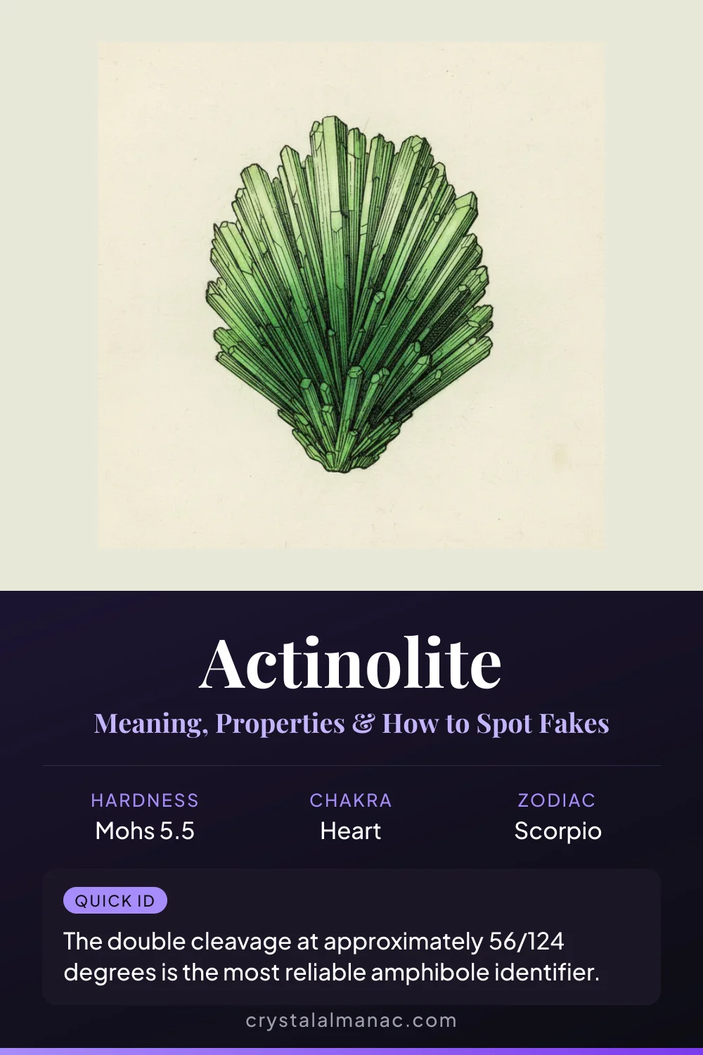 Actinolite - The Ray Stone - Pinterest pin