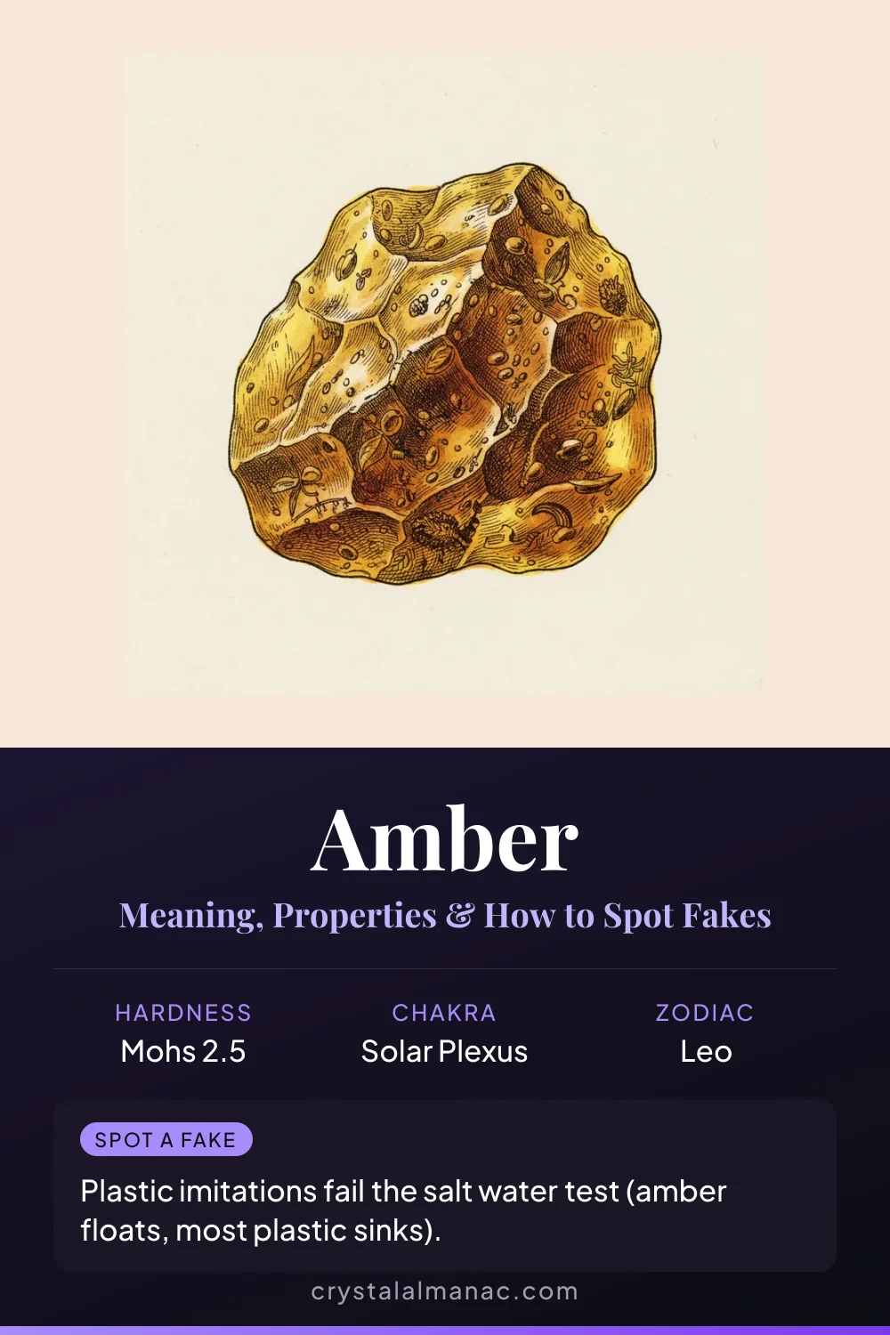 Amber - The Window to Prehistoric Life - Pinterest pin