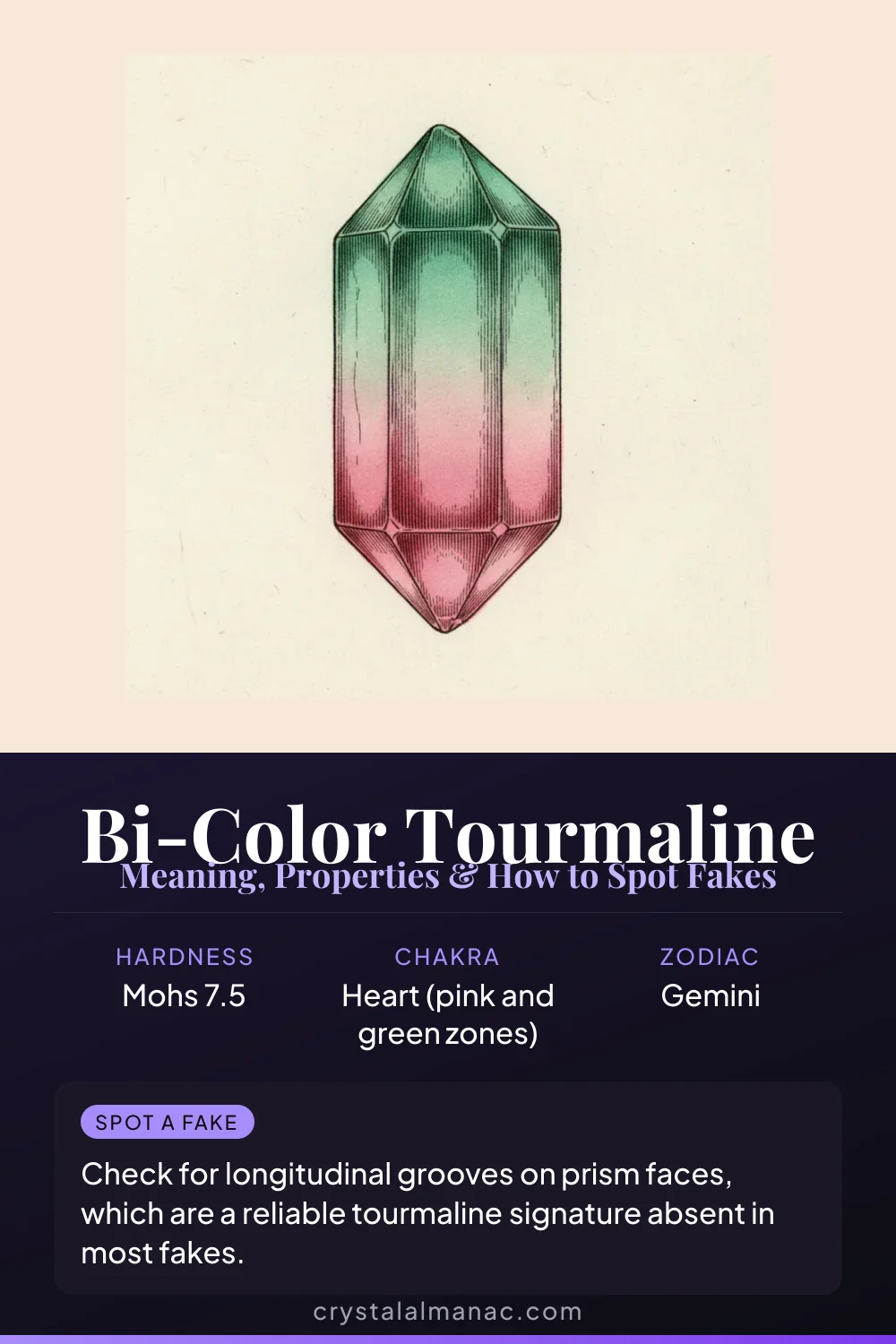 Bi-Color Tourmaline - Elbaite with two color zones - Pinterest pin