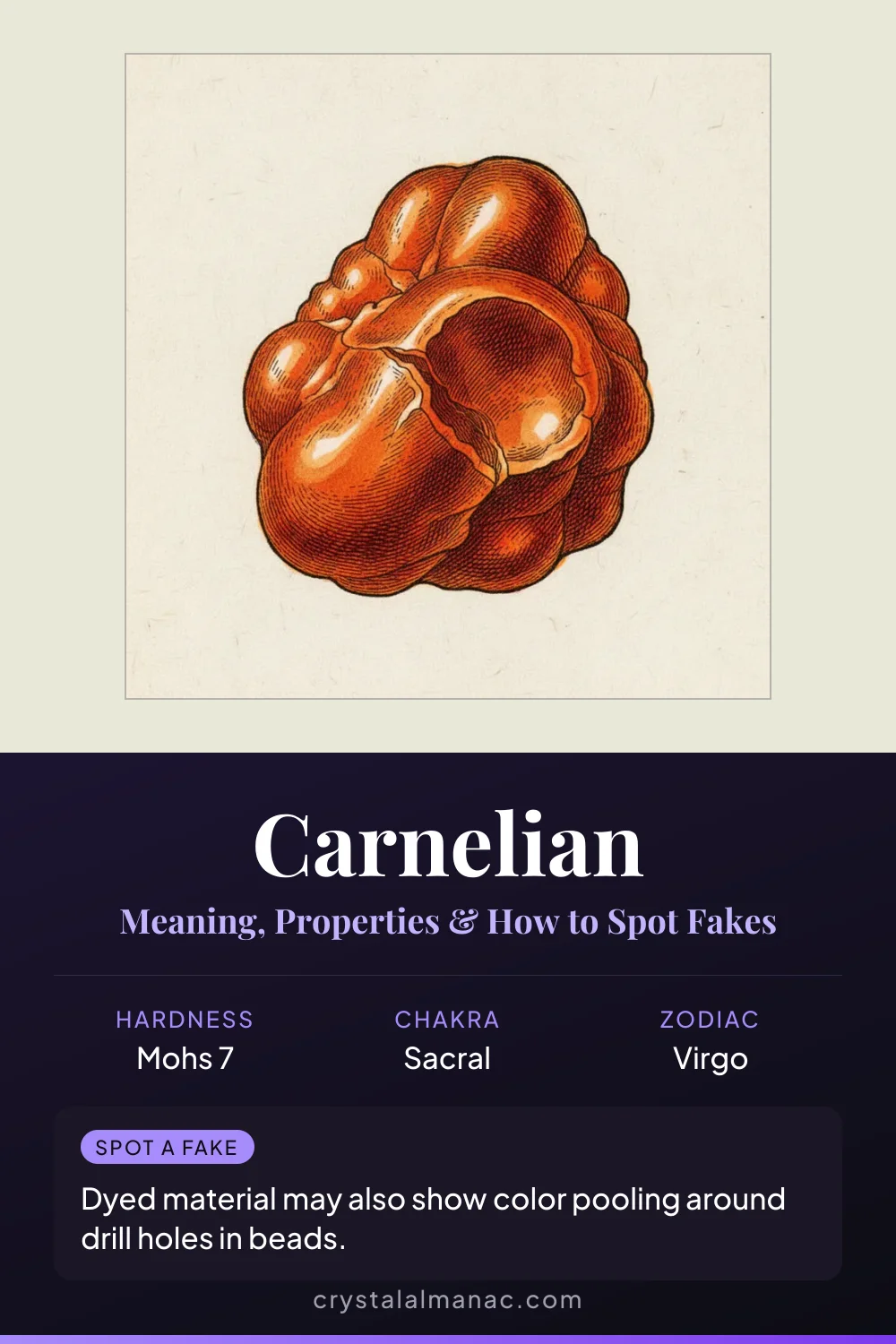 Carnelian - The Singer's Stone - Pinterest pin