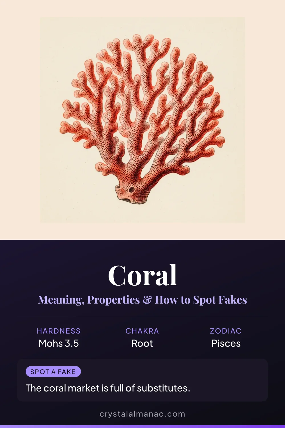 Coral - The Garden of the Sea - Pinterest pin