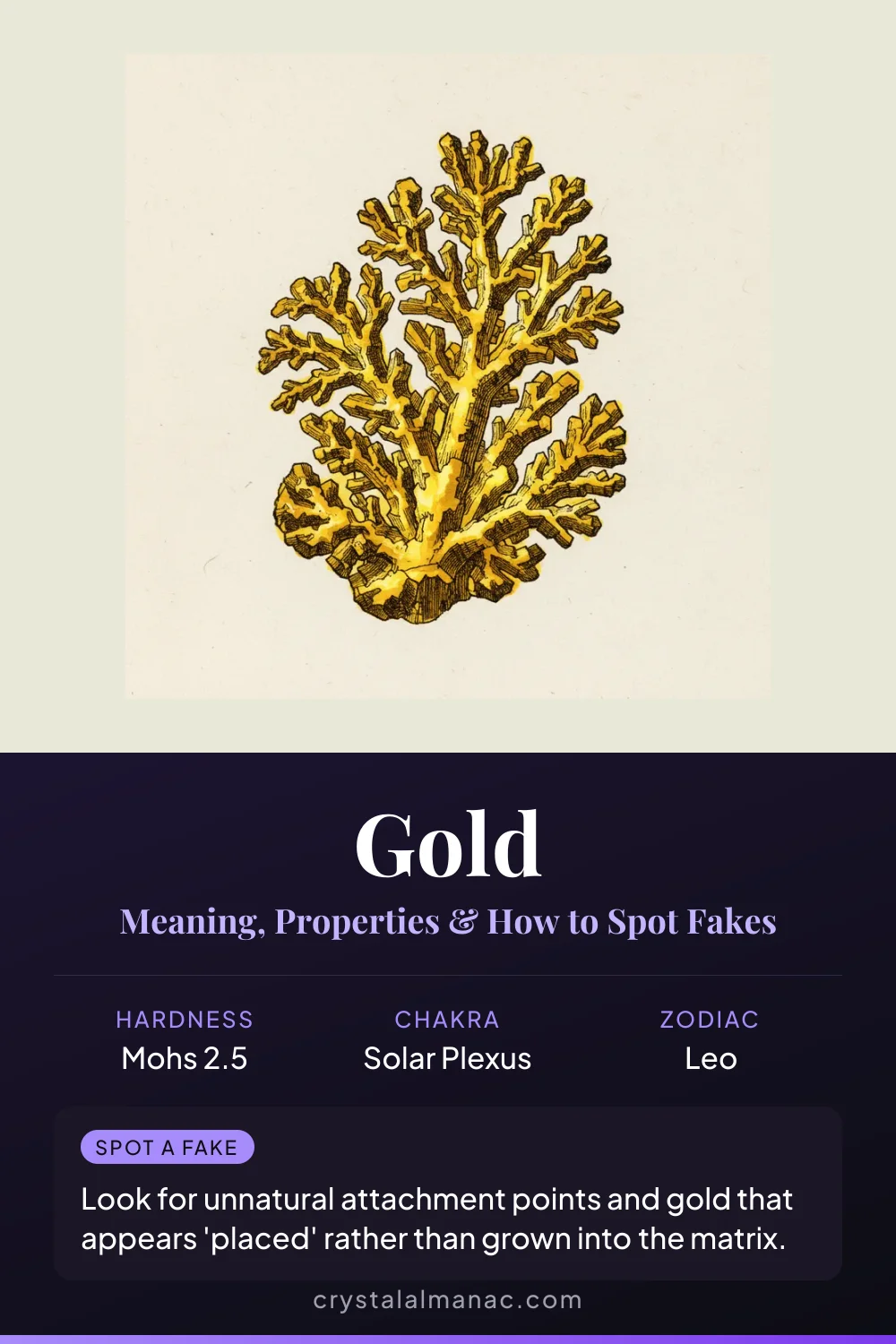 Gold - The Eternal Metal - Pinterest pin