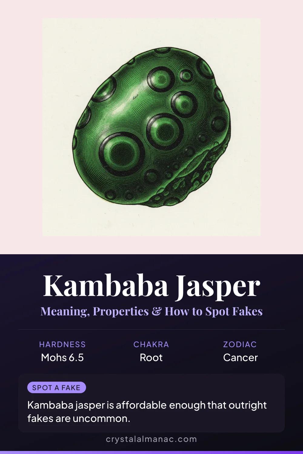 Kambaba Jasper - The Crocodile Stone - Pinterest pin