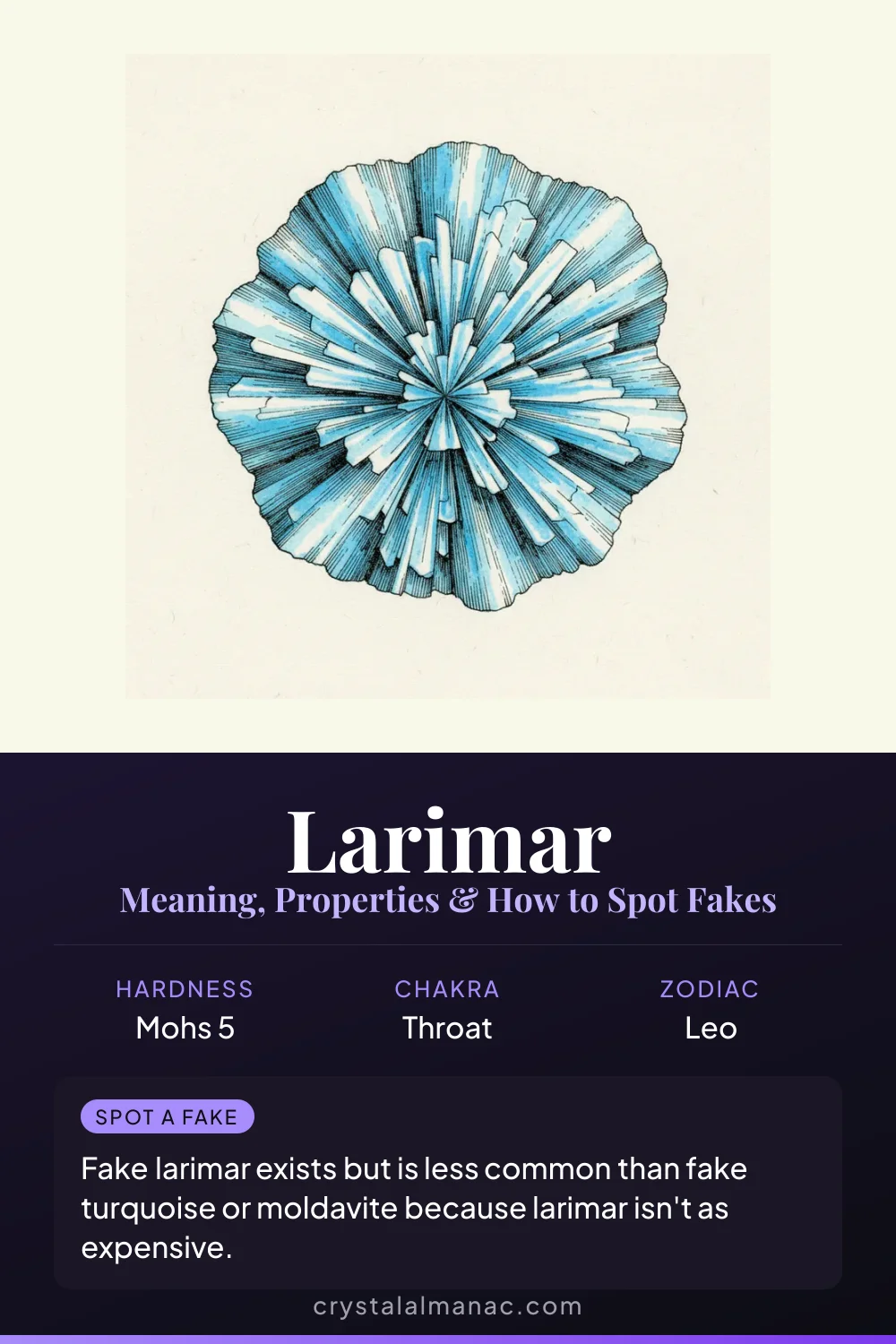 Larimar - The Dolphin Stone - Pinterest pin