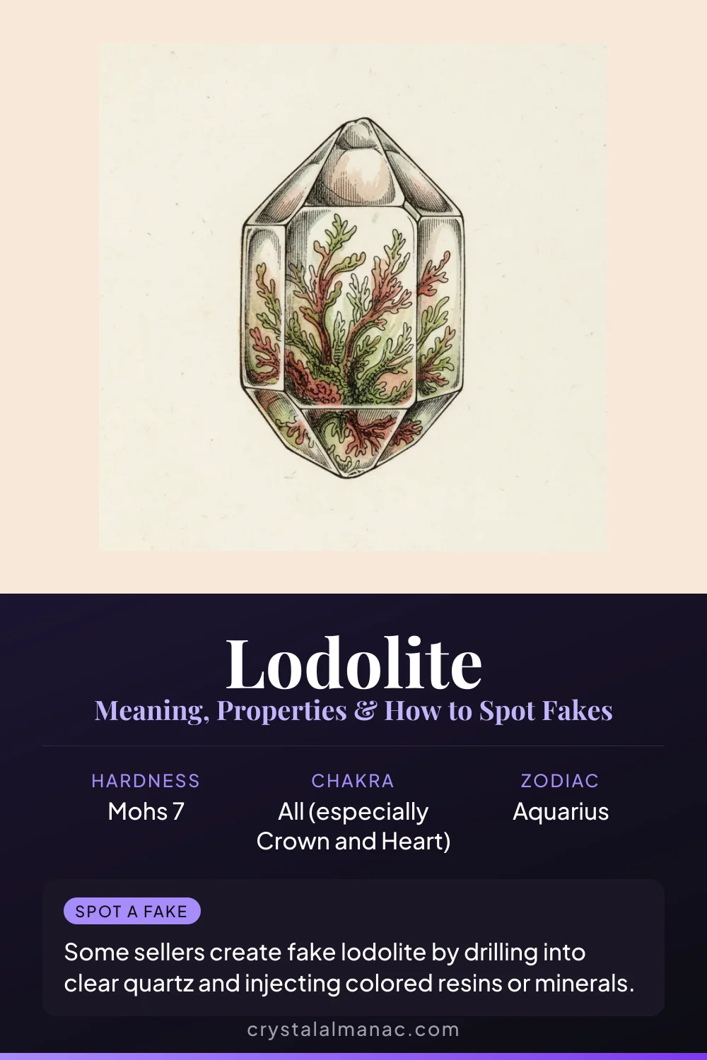 Lodolite - The Garden Quartz - Pinterest pin