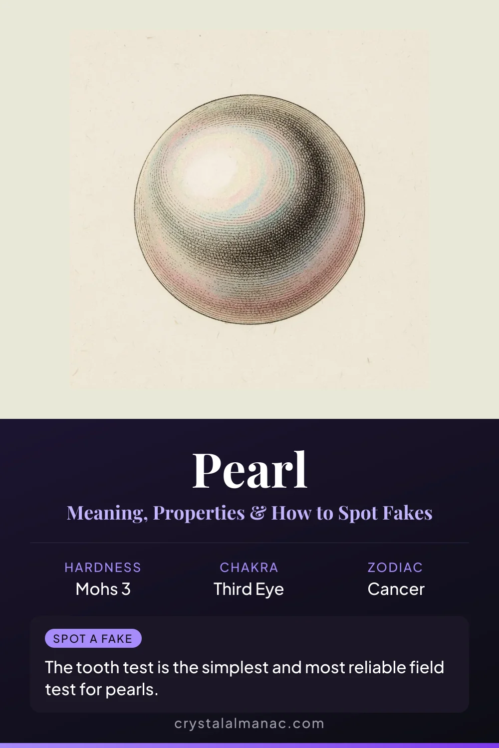 Pearl - The Gem of the Sea - Pinterest pin