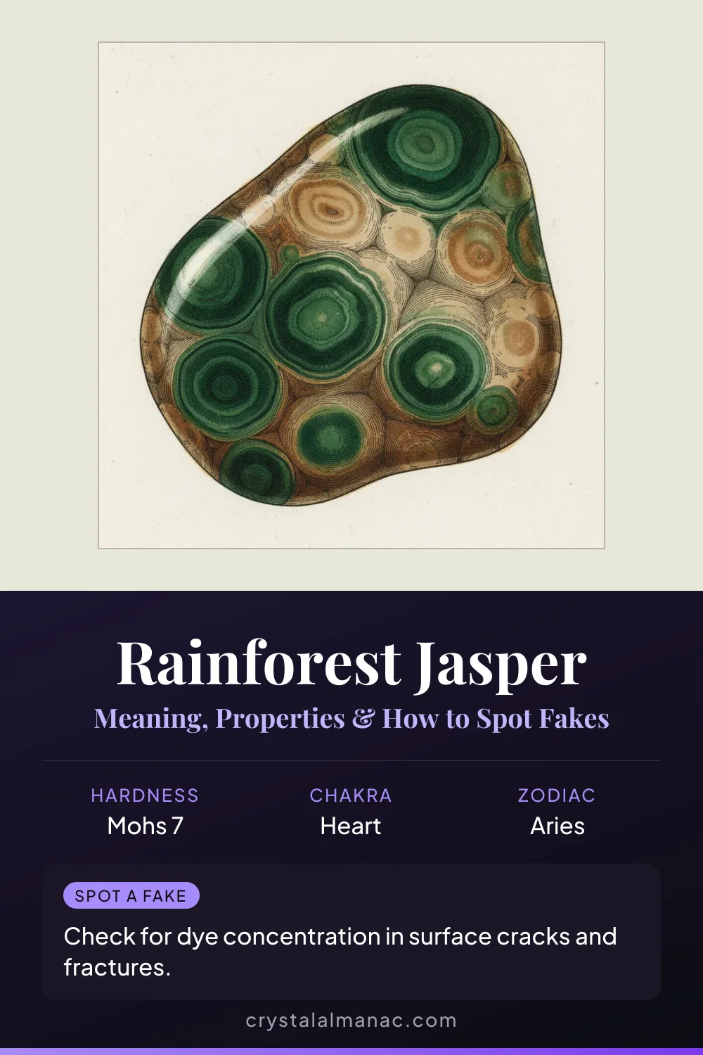 Rainforest Jasper - The Green Rhyolite - Pinterest pin