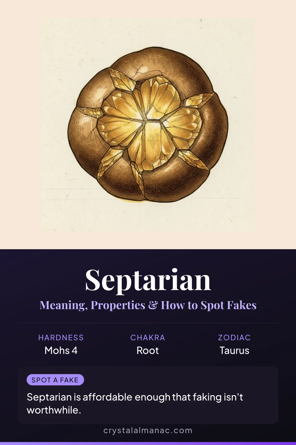 Septarian - The Dragon Stone - Pinterest pin