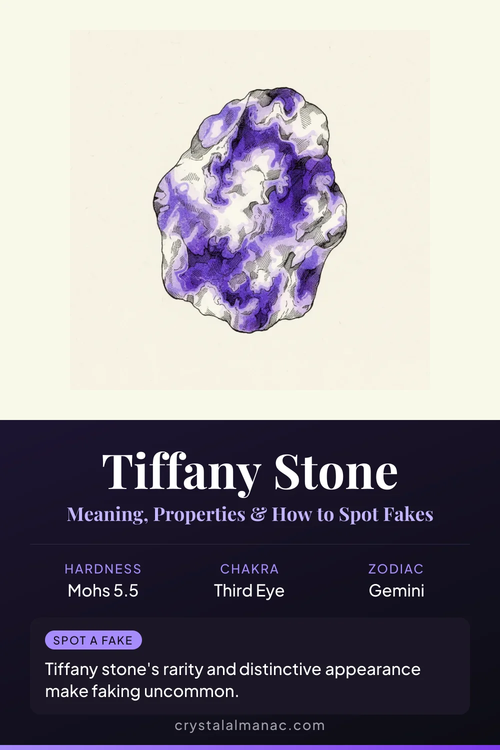 Tiffany Stone - The Purple Passion - Pinterest pin