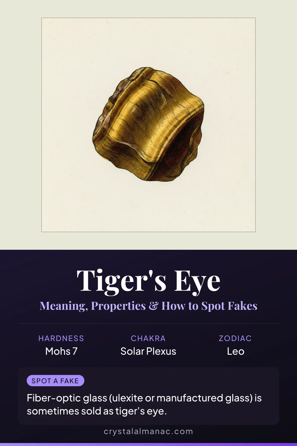 Tiger's Eye - The Stone of Courage - Pinterest pin