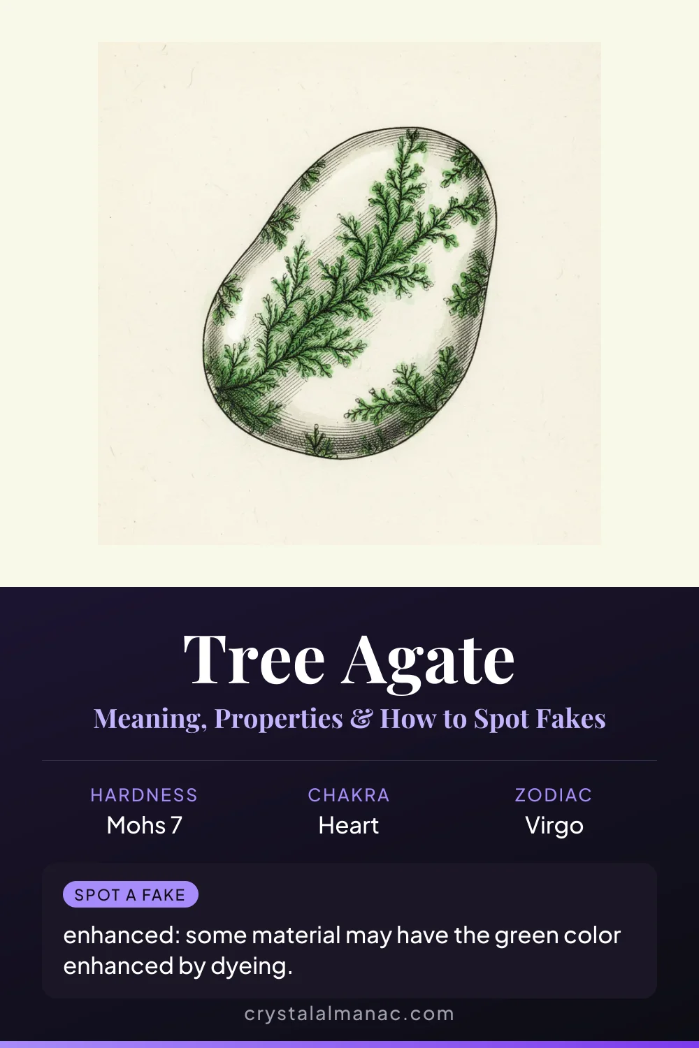 Tree Agate - The Stone of Plenitude - Pinterest pin